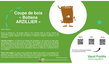 GT scolytes - coupes de bois arzilier