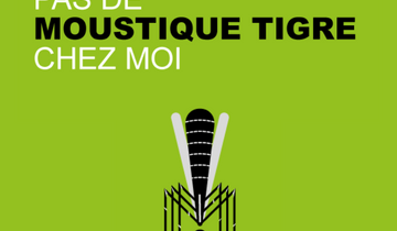 MoustiqueTigre MoustiqueTigre