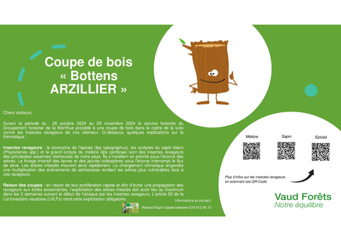 GT scolytes - coupes de bois arzilier