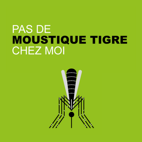 MoustiqueTigre MoustiqueTigre