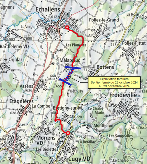 Bottens_Scolytes Bottens_Scolytes