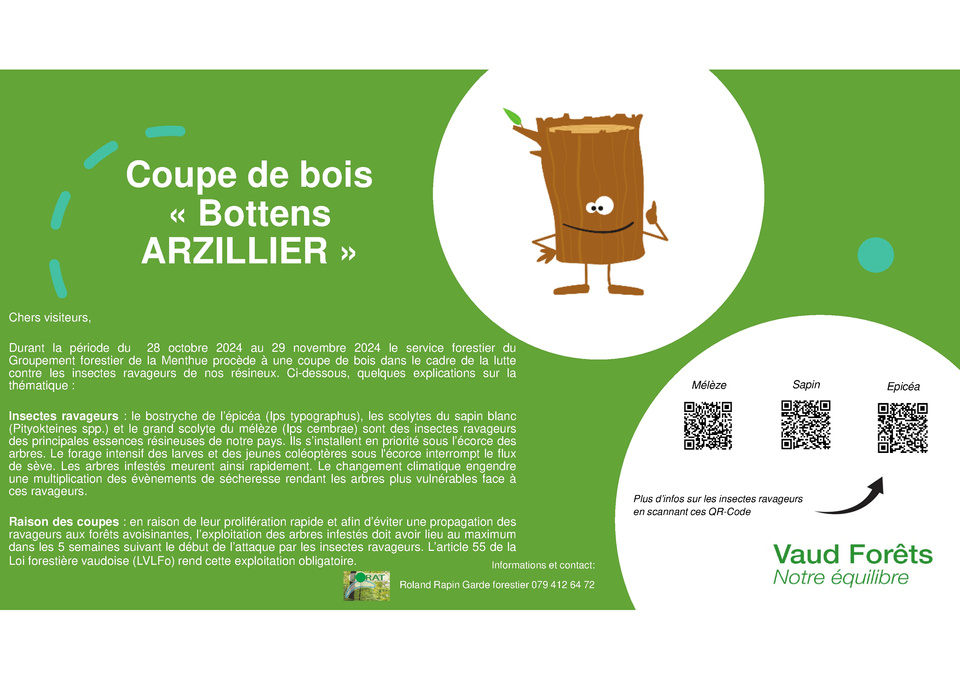 GT scolytes - coupes de bois arzilier
