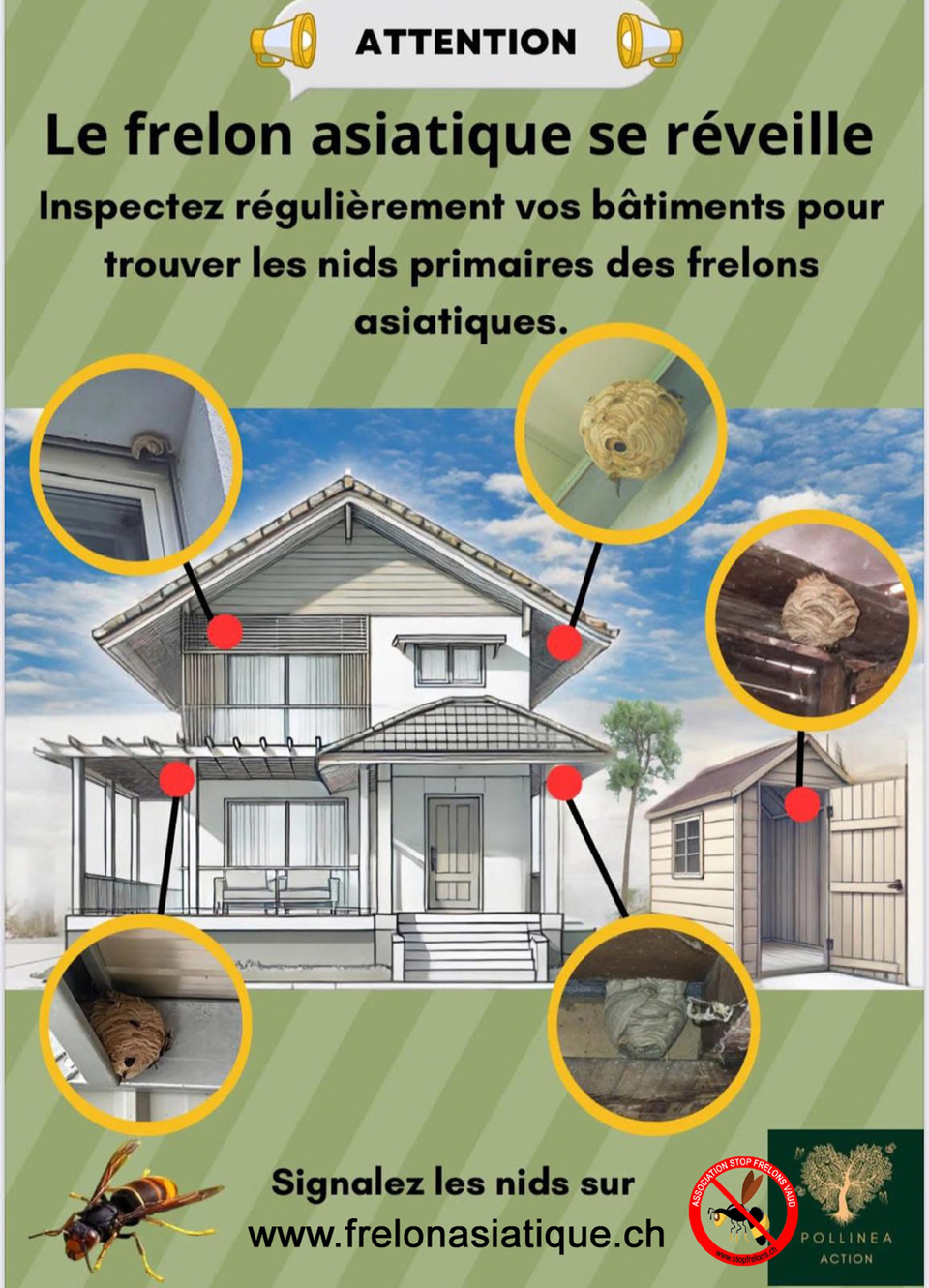 2025_flyer_FrelonAsiatique 2025_flyer_FrelonAsiatique
