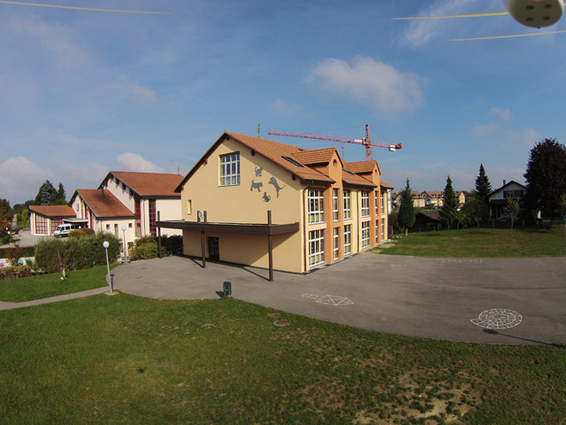 college_lionceaux_web